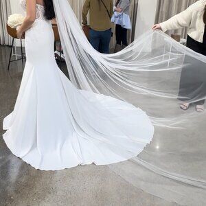 Pronovias Wedding Dress: Never worn & Never altered